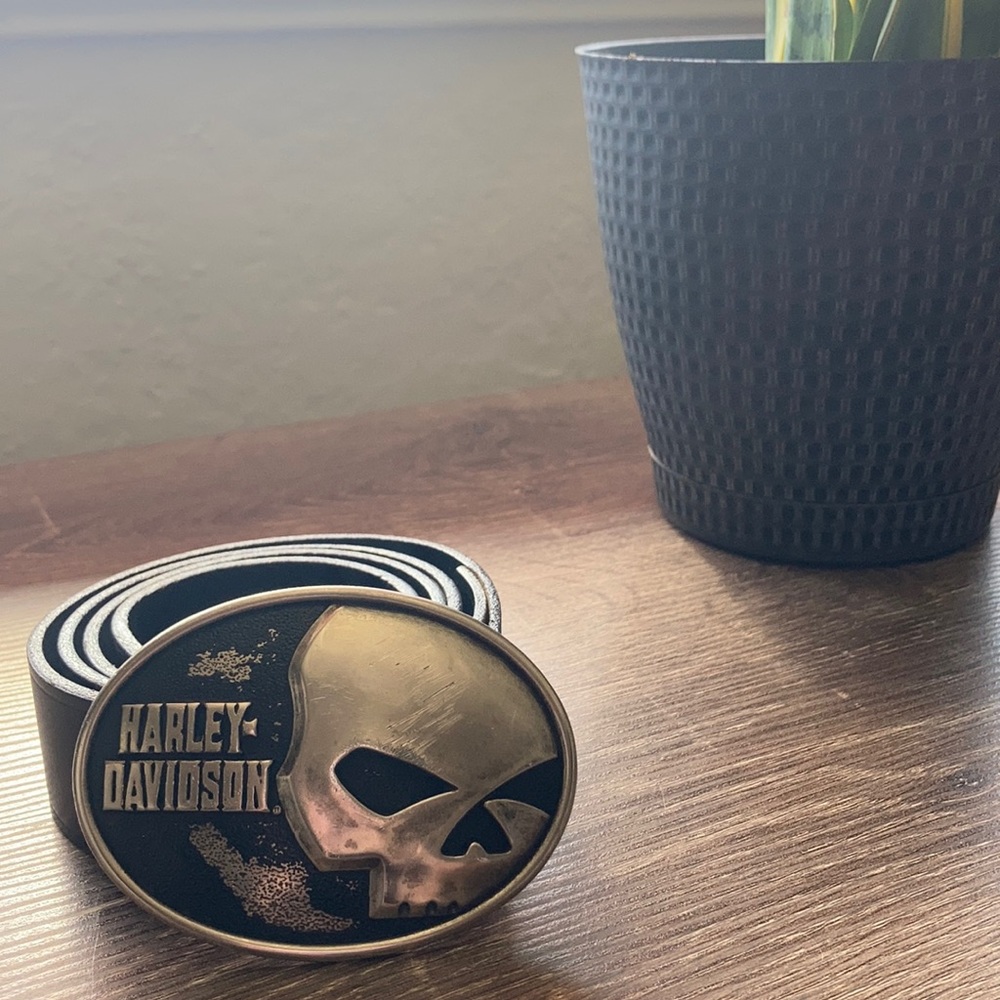 HARLEY DAVIDSON BELT